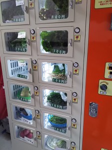 野菜の自動販売機